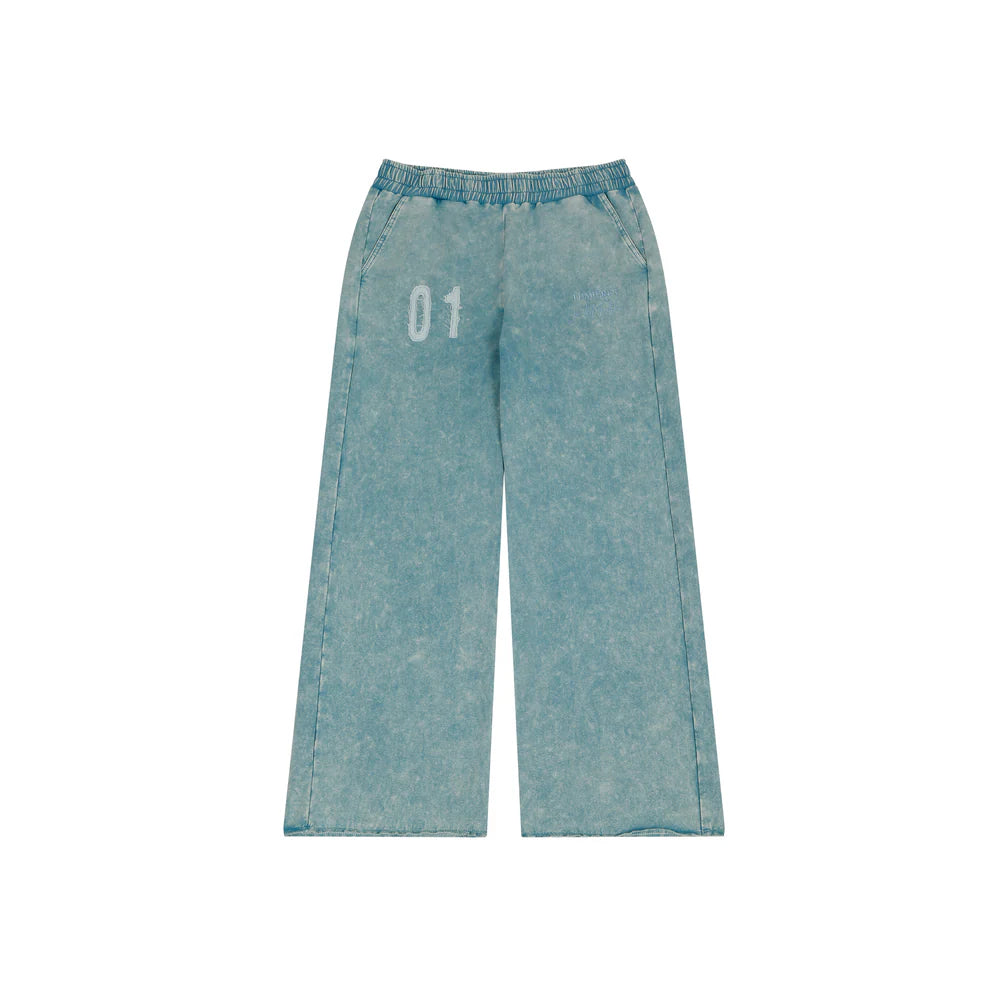 WASHED SKY JOGGERS
