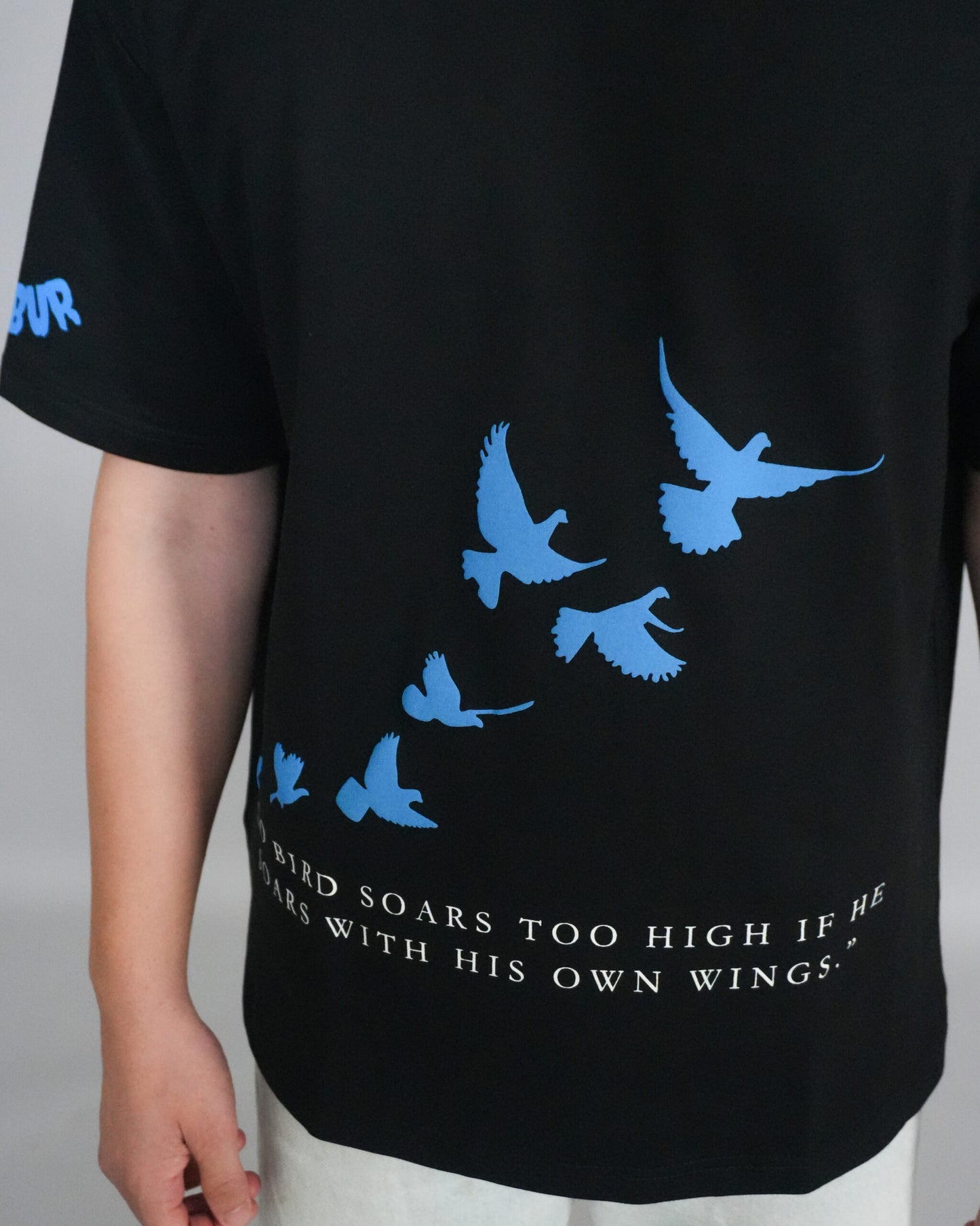 BLUE BIRDIES