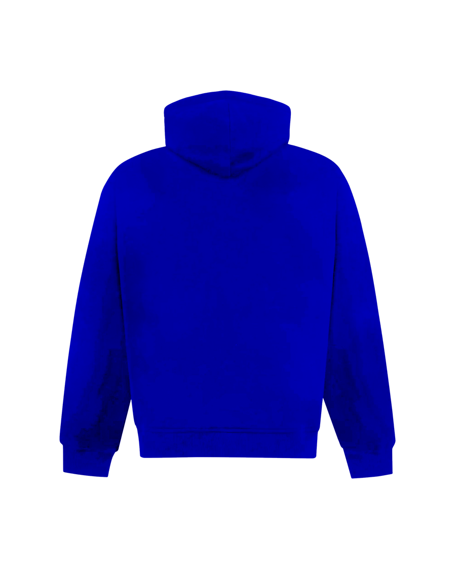 Bluetooth Hoodie