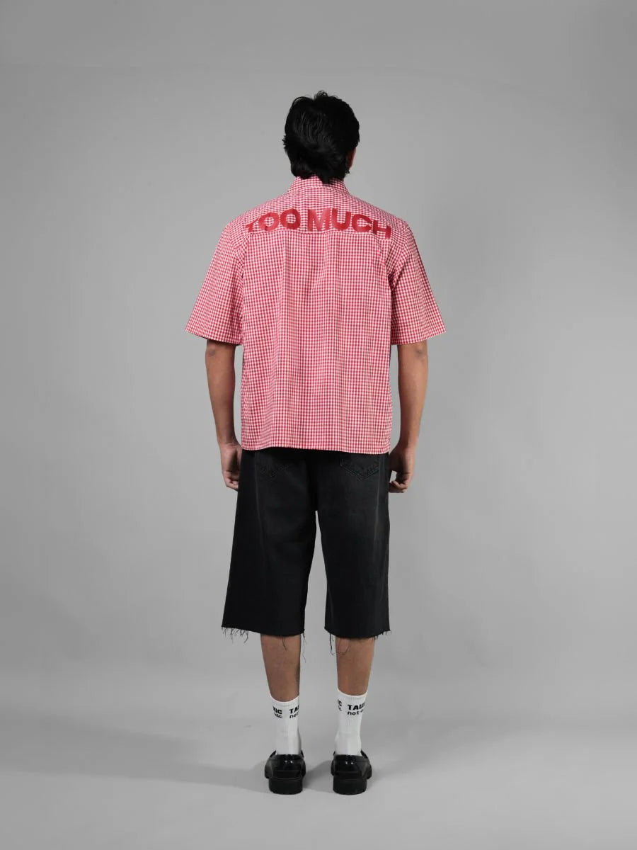 Too Much - Red Gingham Shirt